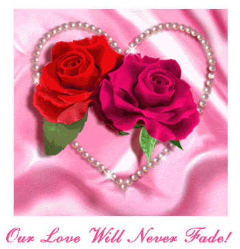 OUR LOVE WILL NEVER FADE
