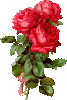 fleur d amour
